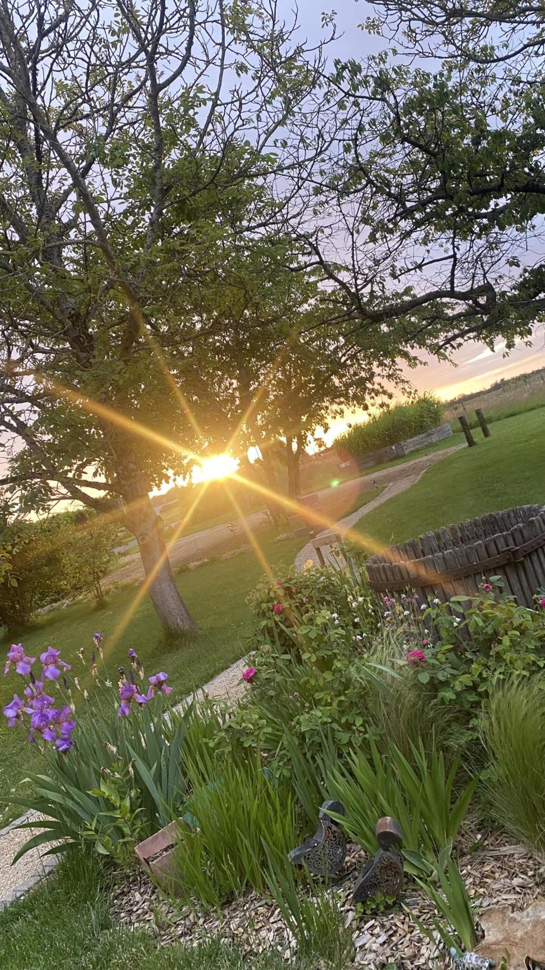 Simples Escales : Gite Nature, Detente Et Sauna Les Rosiers-sur-Loire Ngoại thất bức ảnh